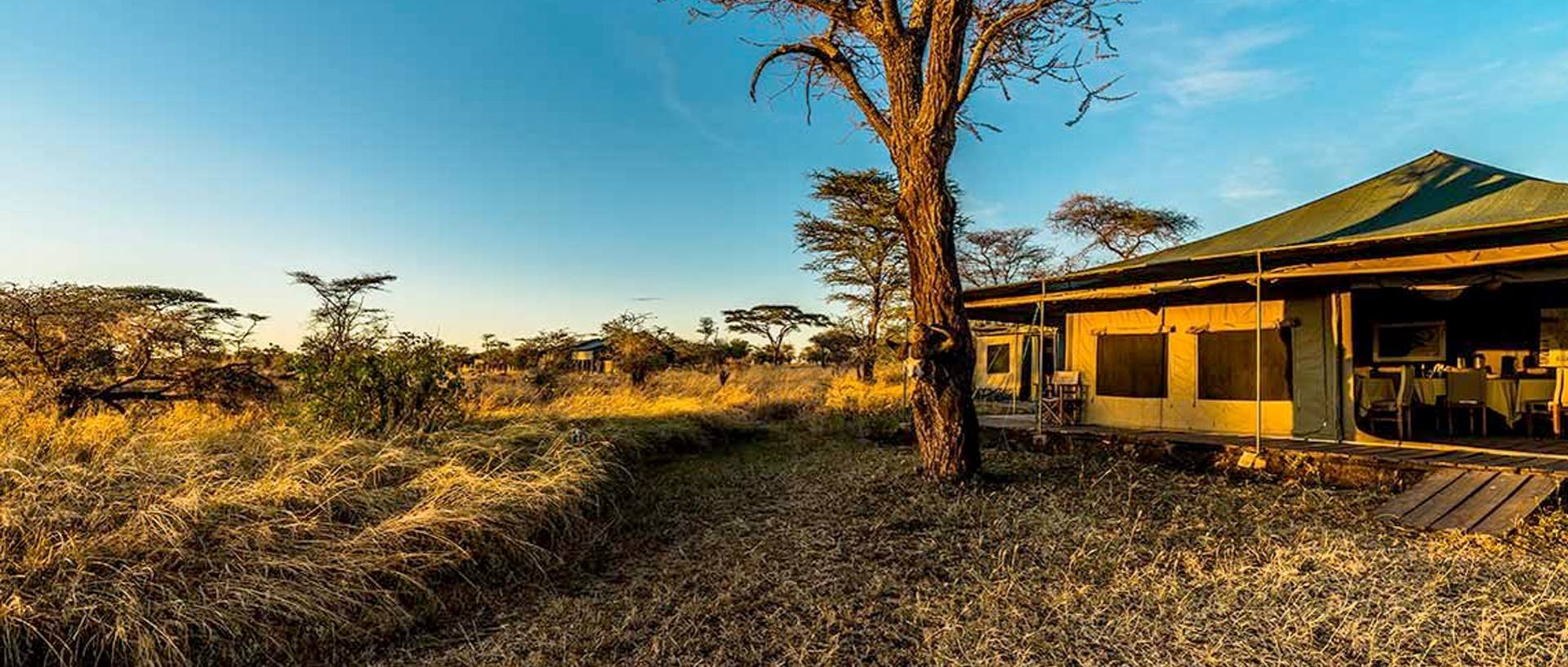 Dove dormire in Tanzania e Zanzibar: Lodge, Campi Tendati e Resort