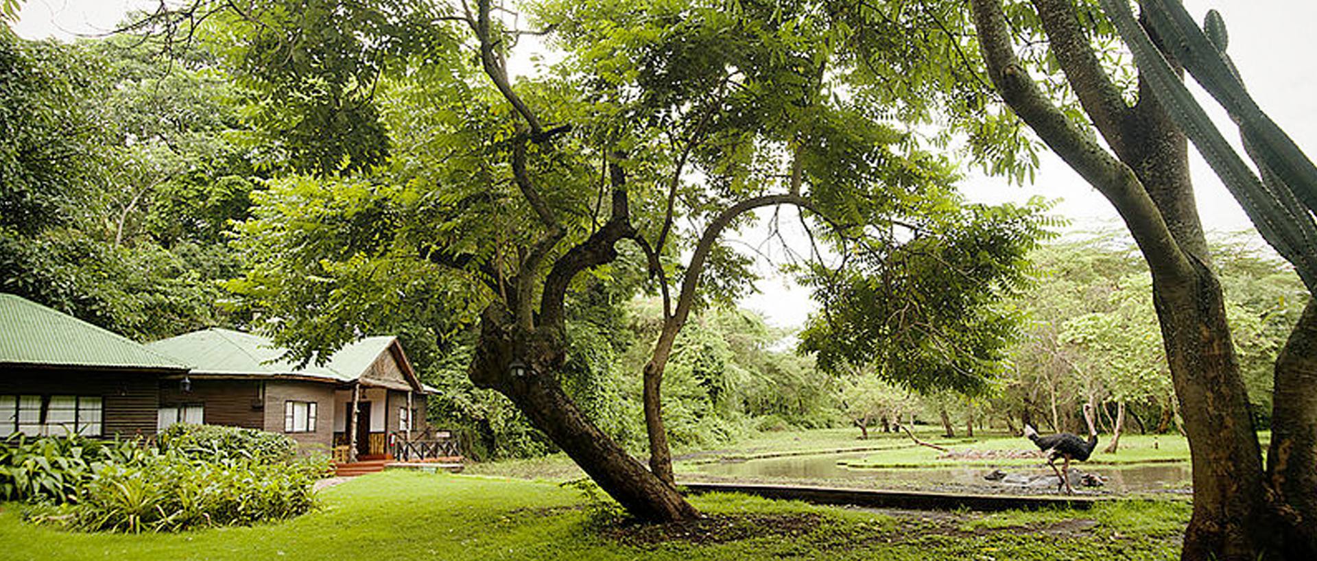 Dove dormire in Tanzania e Zanzibar: Lodge, Campi Tendati e Resort