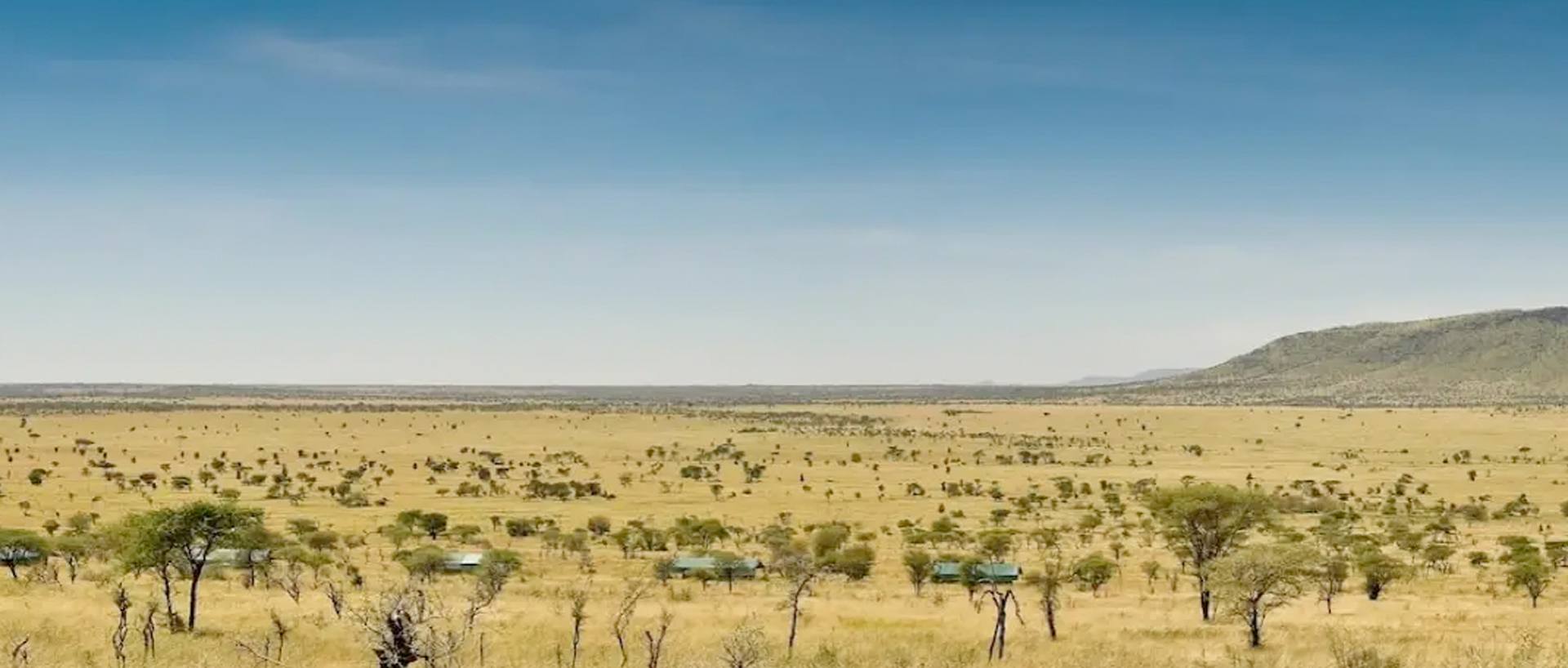 Dove dormire in Tanzania e Zanzibar: Lodge, Campi Tendati e Resort