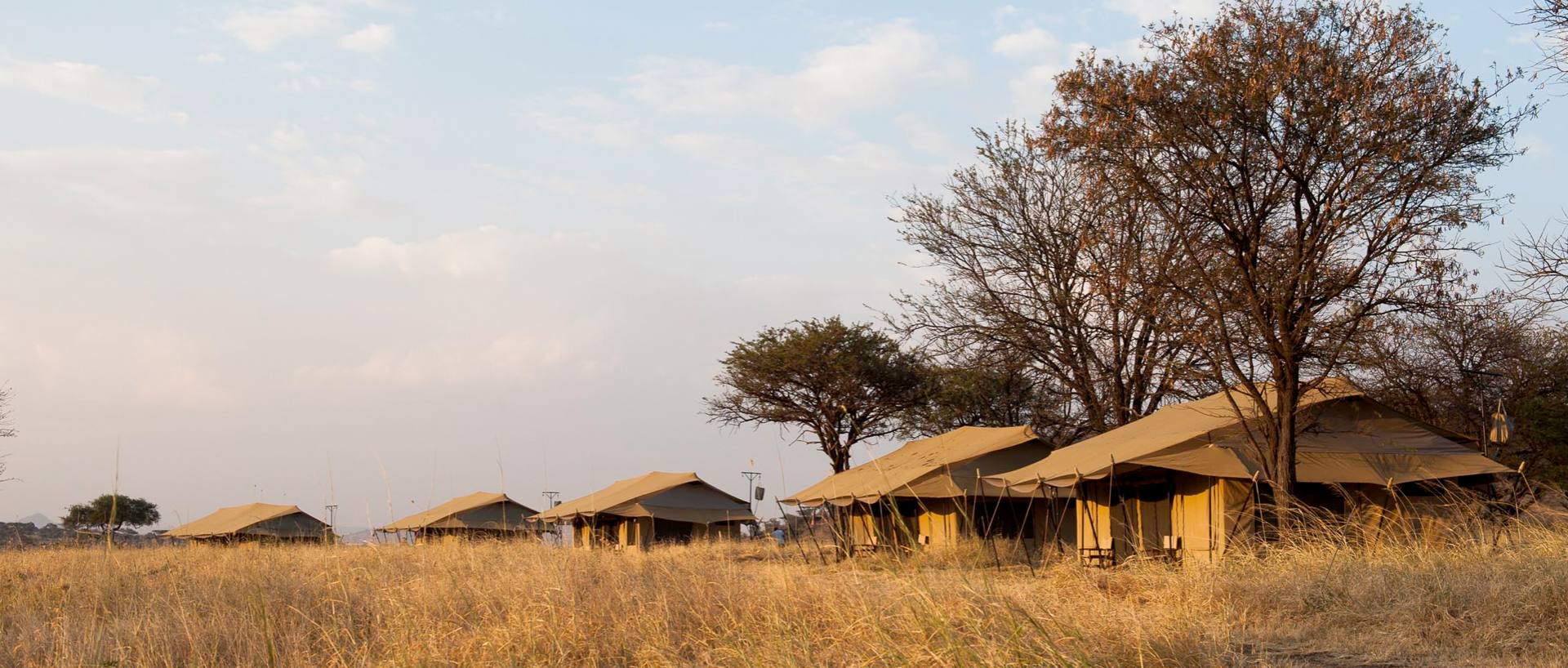 Dove dormire in Tanzania e Zanzibar: Lodge, Campi Tendati e Resort