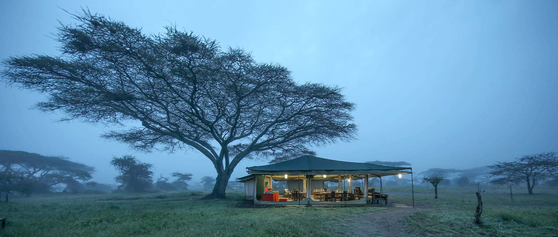 Dove dormire in Tanzania e Zanzibar: Lodge, Campi Tendati e Resort