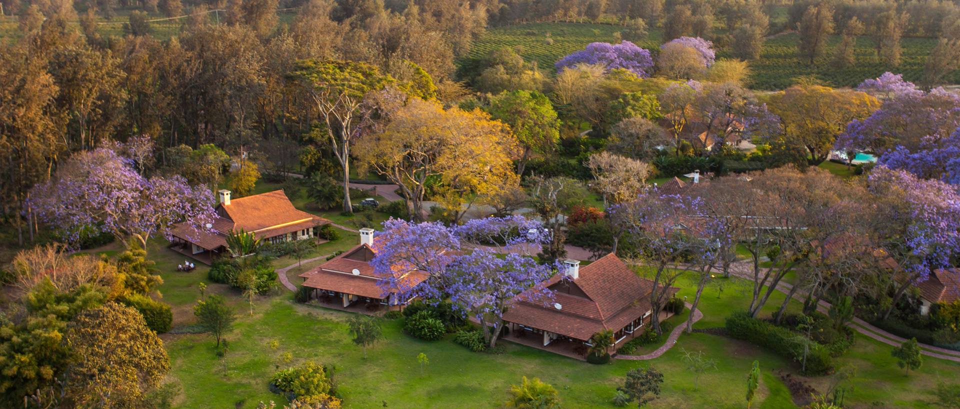Dove dormire in Tanzania e Zanzibar: Lodge, Campi Tendati e Resort
