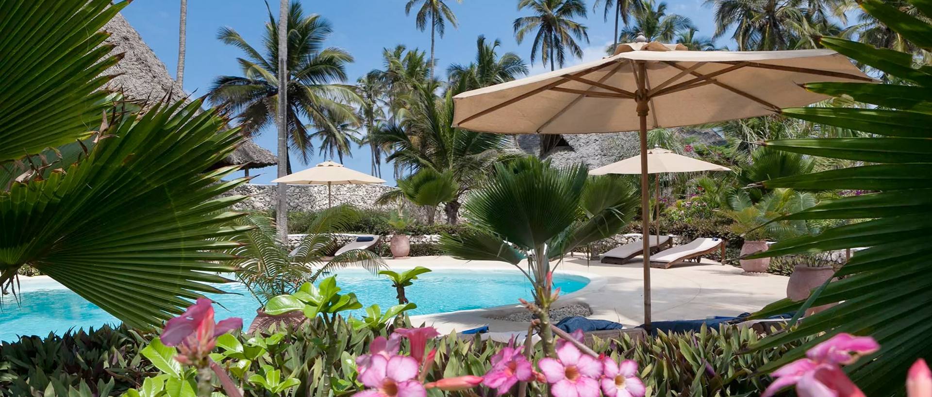 Viaggi in Tanzania con safari e Zanzibar