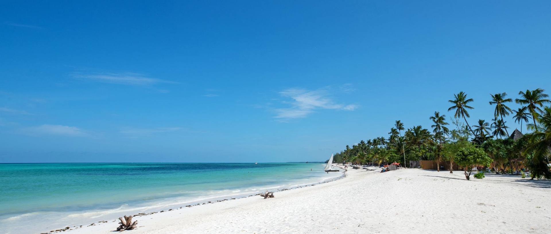 Viaggi in Tanzania con safari e Zanzibar