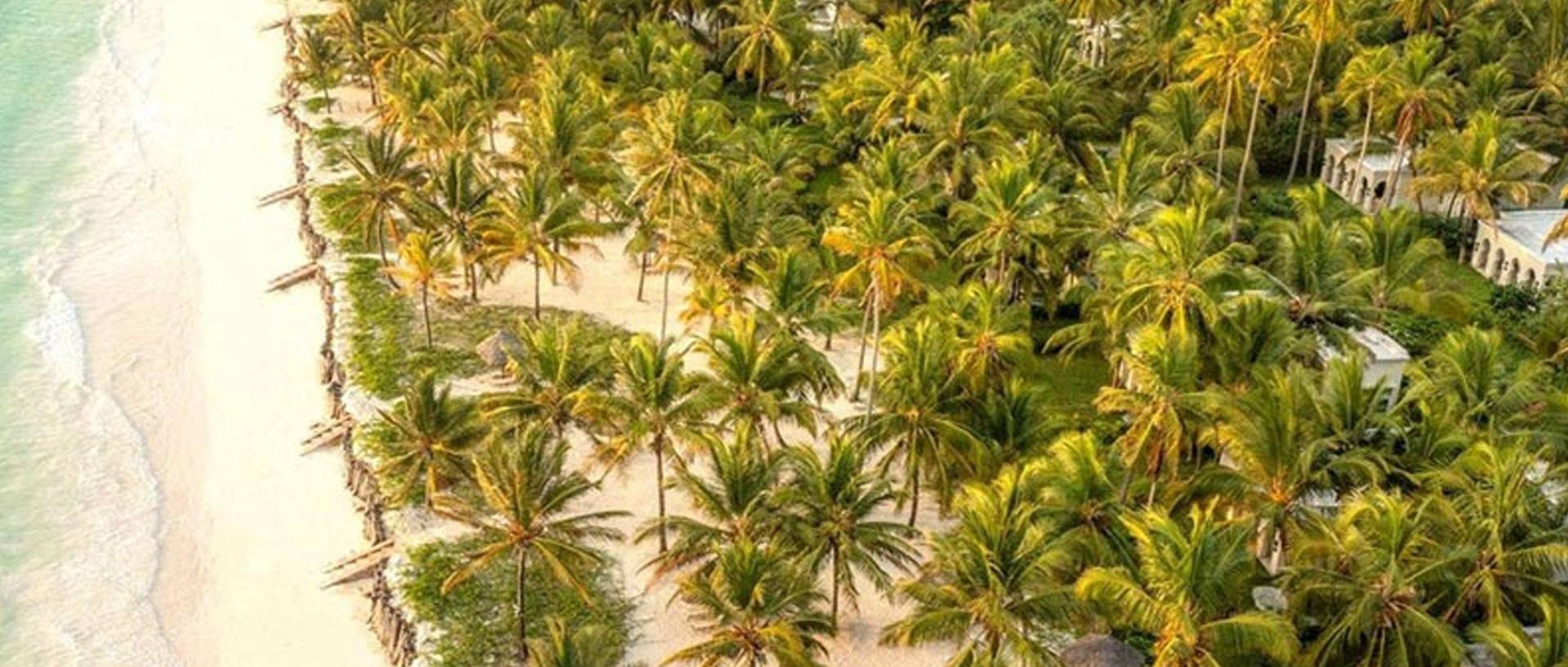 Viaggi in Tanzania con safari e Zanzibar