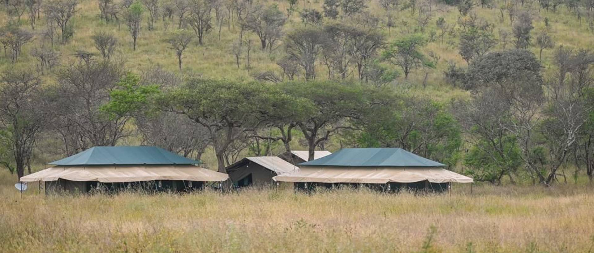 Dove dormire in Tanzania e Zanzibar: Lodge, Campi Tendati e Resort