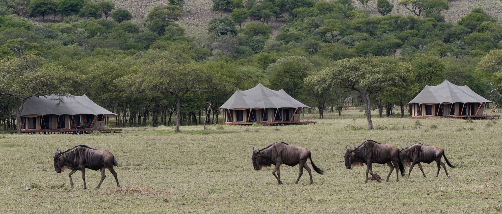 Dove dormire in Tanzania e Zanzibar: Lodge, Campi Tendati e Resort