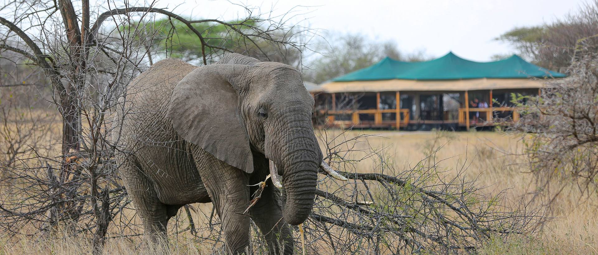 Dove dormire in Tanzania e Zanzibar: Lodge, Campi Tendati e Resort