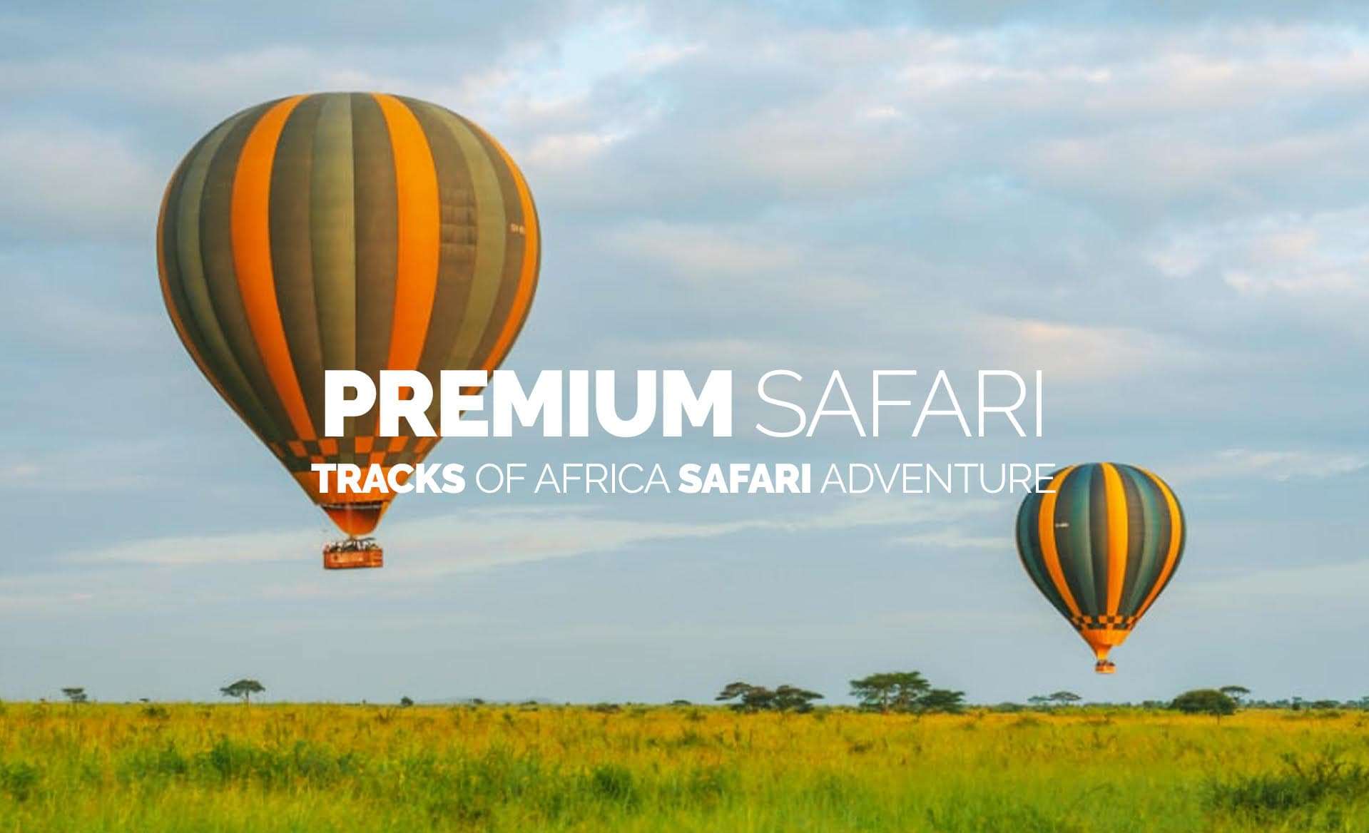 I migliori Safari in Tanzania con Tracks of Africa