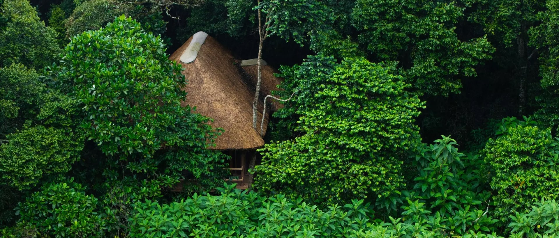 Dove dormire in Tanzania e Zanzibar: Lodge, Campi Tendati e Resort