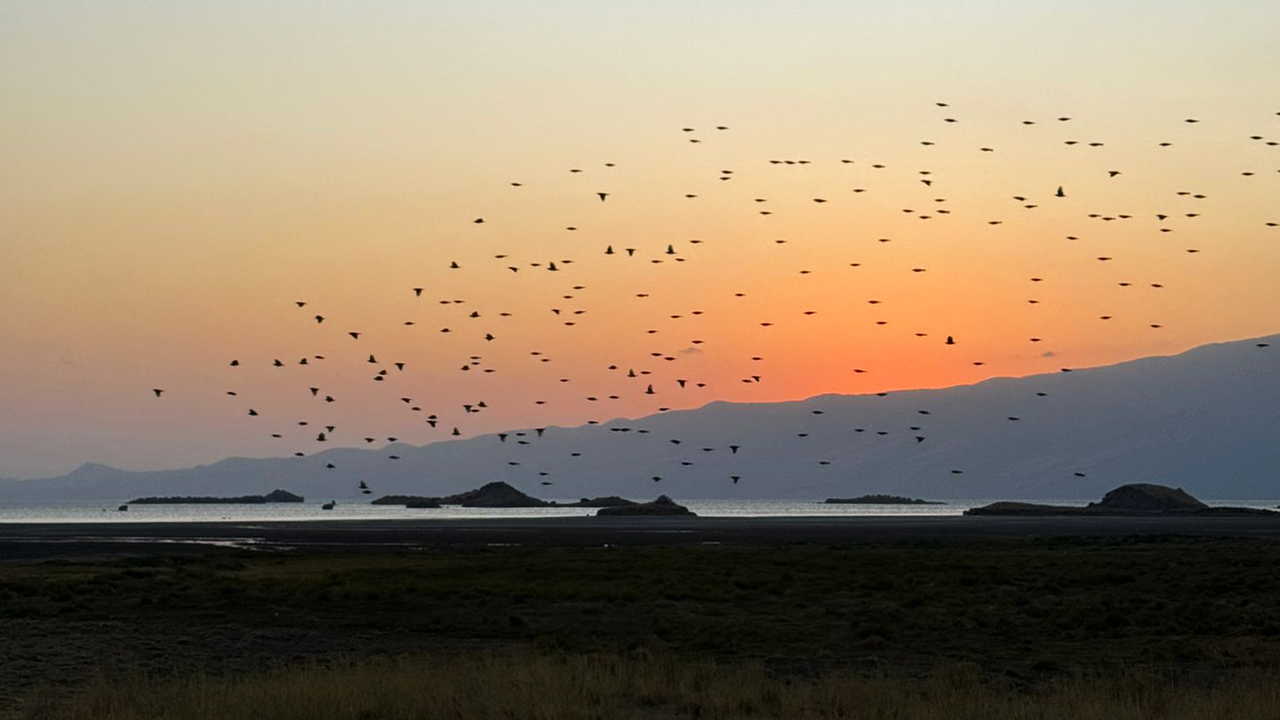 Parchi Nazionali della Tanzania - Fenicotteri in volo sul lago Natron durante un safari in Tanzania al tramonto