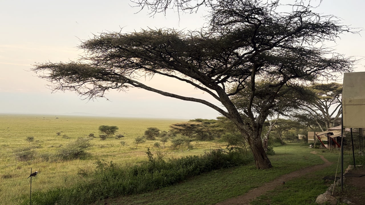 Campo tendato nel parco del Serengeti