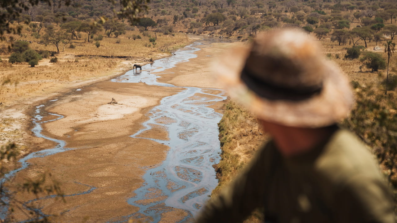 Walking safari en Tanzania con vistas al río Tarangire