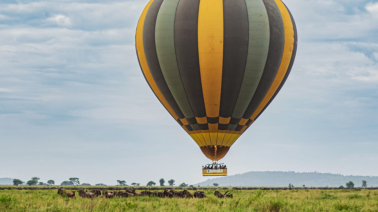 Safari en globo aerostático en Tanzania con vistas a la sabana y a la fauna salvaje
