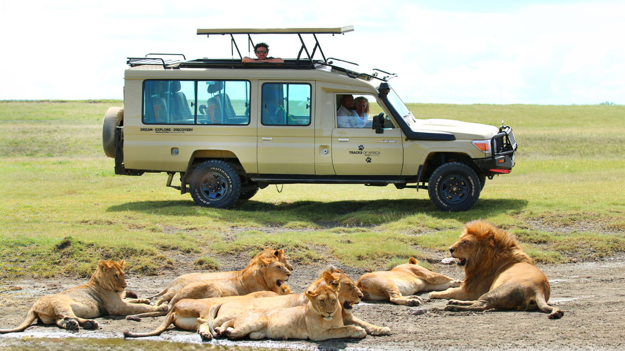 Combien coûte un safari en Tanzanie ? Prix, budget et conseils de voyage