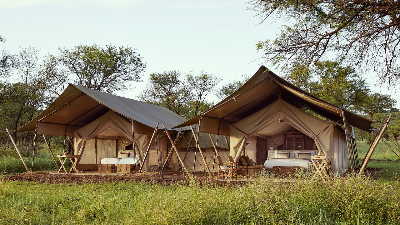 Tented Camp or Lodge in Tanzania: What Really Makes the Difference?