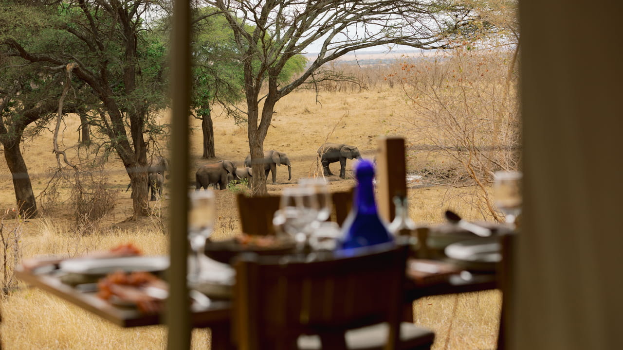 What is the food like on safari in Tanzania? Meals, snacks & local specialties